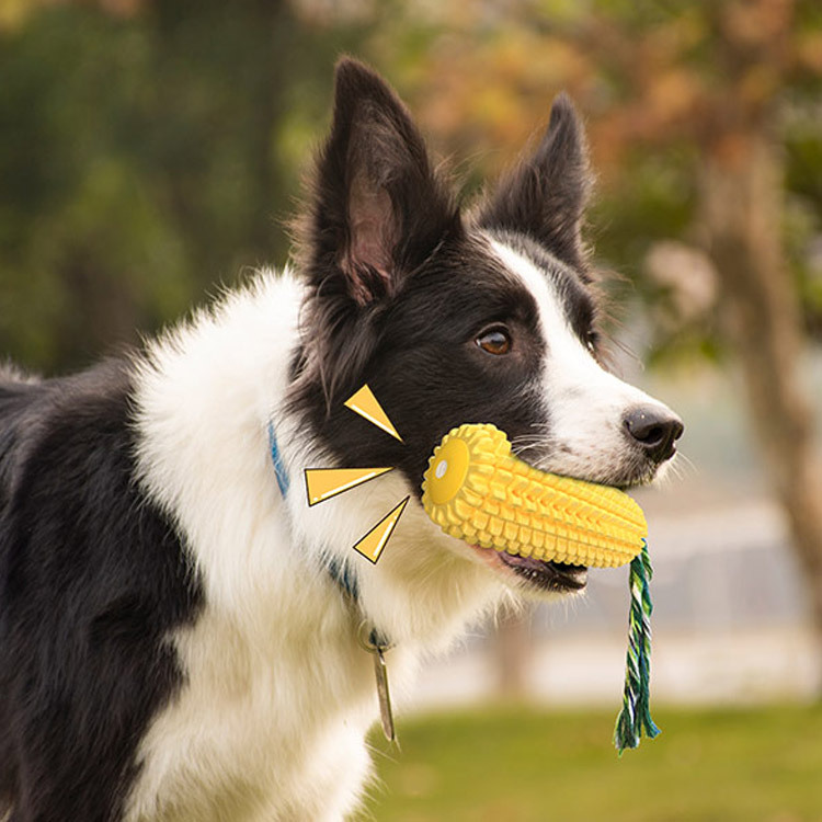 Popular Durable Rubber Corn Do - Corn Dog Stick 评论和价格